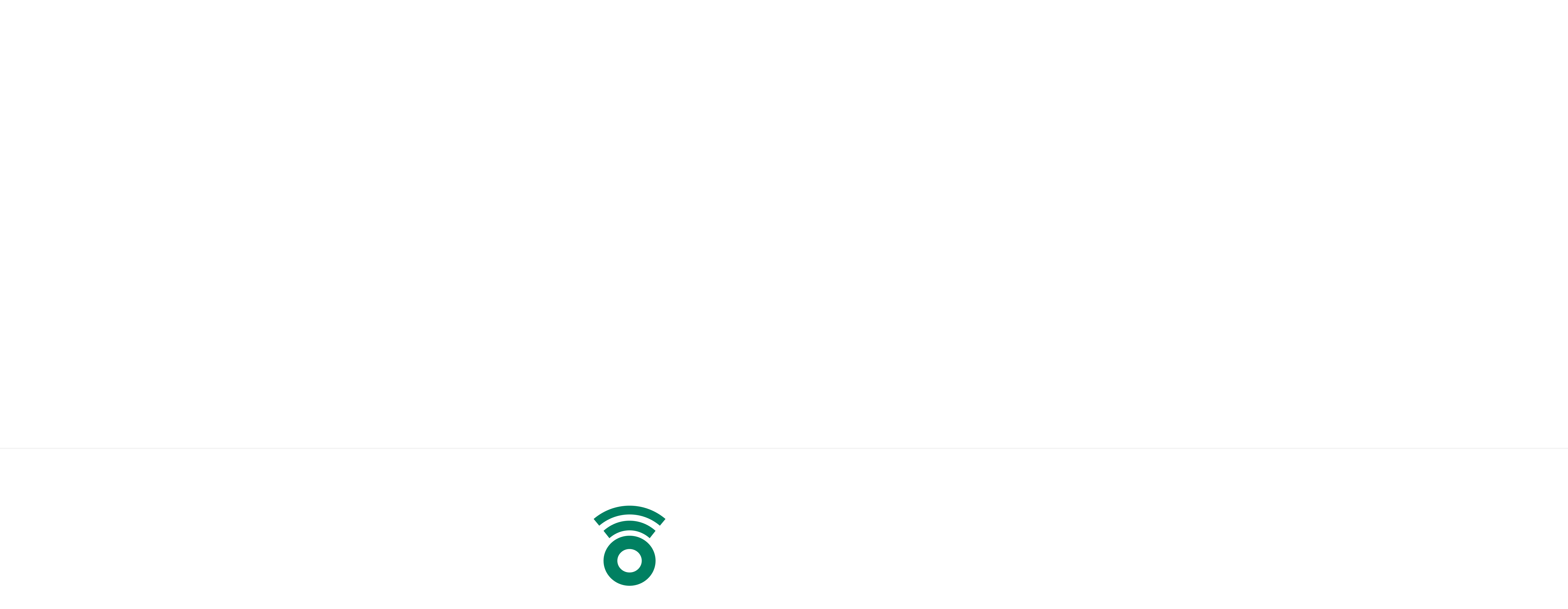 Footer Logo